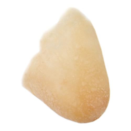 GRIMAS Latexnase, Modell 204 Nasenspitze, professionelle handgefertigte Prothese zum Anschminken für Film, Theater, Halloween und mehr von GRIMAS