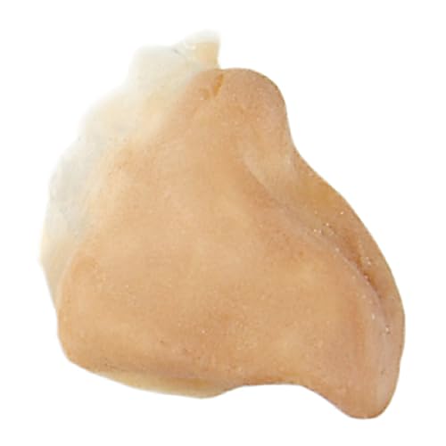 GRIMAS Latexschnauze, Modell 301 Vogelschnabel, professionelle handgefertigte Prothese zum Anschminken für Film, Theater, Halloween und mehr von GRIMAS