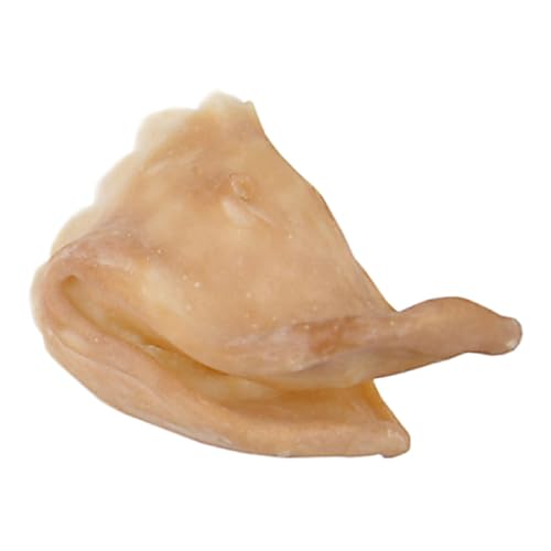 GRIMAS Latexschnauze, Modell 305 Entenschnabel, professionelle handgefertigte Prothese zum Anschminken für Film, Theater, Halloween und mehr von GRIMAS