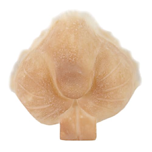 GRIMAS Latexschnauze, Modell 310 Kaninchenschnauze, professionelle handgefertigte Prothese zum Anschminken für Film, Theater, Halloween und mehr von GRIMAS