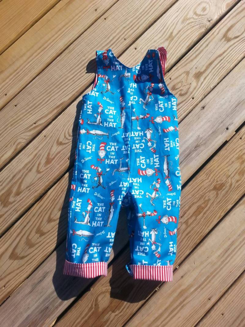 Handgemachte Katze Im Hut Geburtstags-Outfit Dr. Seuss Inspiriert Jon von GROOVYGURLZ