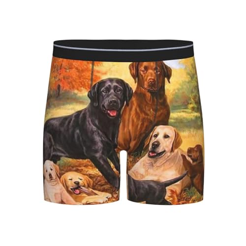 Boxershorts für Herren, Unterhosen, Boxershorts, lustige Unterwäsche,Herbst Labrador Lab Golden Retriever Hund danken von GRatka