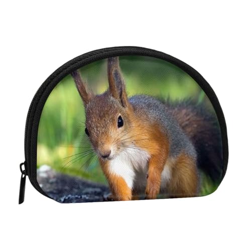 Geldbörse, Geldbörsen, Geldbörse, Kleingeldbeutel, Mini-Geldbörsen für Frauen und Mädchen, Geschenk, süßes Eichhörnchen von GRatka