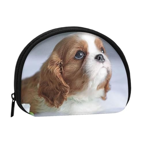 Geldbörse, Geldbörsen, Kleingeldbeutel, Mini-Geldbörsen für Damen und Mädchen, Geschenk, Cavalier King Charles Spaniel-Gesicht von GRatka