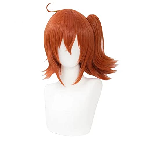 Uearlid Wig Anime Cosplay Fo. Fate/Grand Order Cosplay Perücken Orange Rot Synthetische Haar Fujimaru Ritsuka Cosplay Hitzebeständige synthetische Perücken Halloween von GSTINBLING