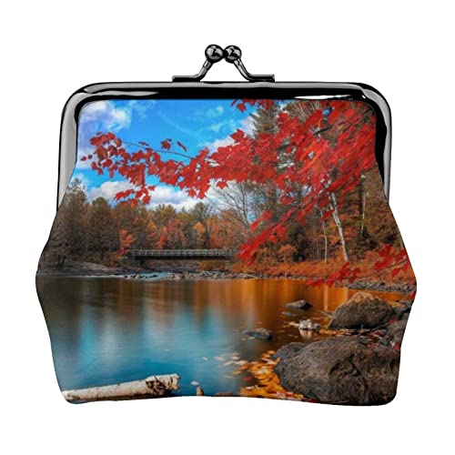 Killarney National Park Full Double-Sided Printed Pattern Damen und Mädchen Mode Leder Kiss Lock Coin Purse Card Bag, Schwarz , Einheitsgröße, Kartenhalter von GTGHYLHA