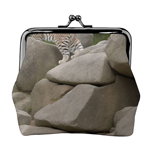 Mountain Leopard Cats Full Double-Sided Printed Pattern Damen und Mädchen Mode Leder Kiss Lock Coin Purse Card Bag, Schwarz , Einheitsgröße, Kartenhalter von GTGHYLHA