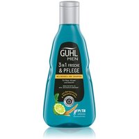 GUHL Men 3in1 Frische & Pflege Haarshampoo von GUHL