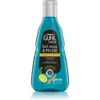 GUHL Men 3in1 Haarshampoo von GUHL