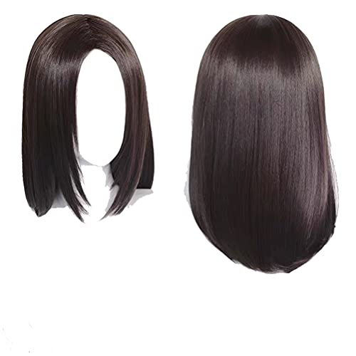 GZIRUE Dunkelbraune Lange Haar Perücke für Eren Wig Cosplay Anime Halloween Party Kostüm with Wig Cap von GZIRUE