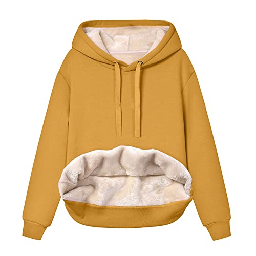 GZYshoyao Damen Gefüttert Kapuzenpullover Sweatshirt Premium Hoodie Sweatjacke Fleece Hoodie Langarm Innenfutter Basic Hoodie Damen-Oberteile Oversized Fleecepullover von GZYshoyao