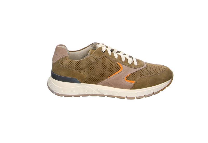 Gabor Comfort Gabor Fashion Velour Comfortschuhe grün Schnürschuh von Gabor Comfort