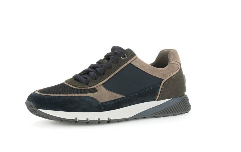 Gabor Freizeit Schnürer für Herren Schnürschuh (1-tlg., keine Angabe) von Gabor