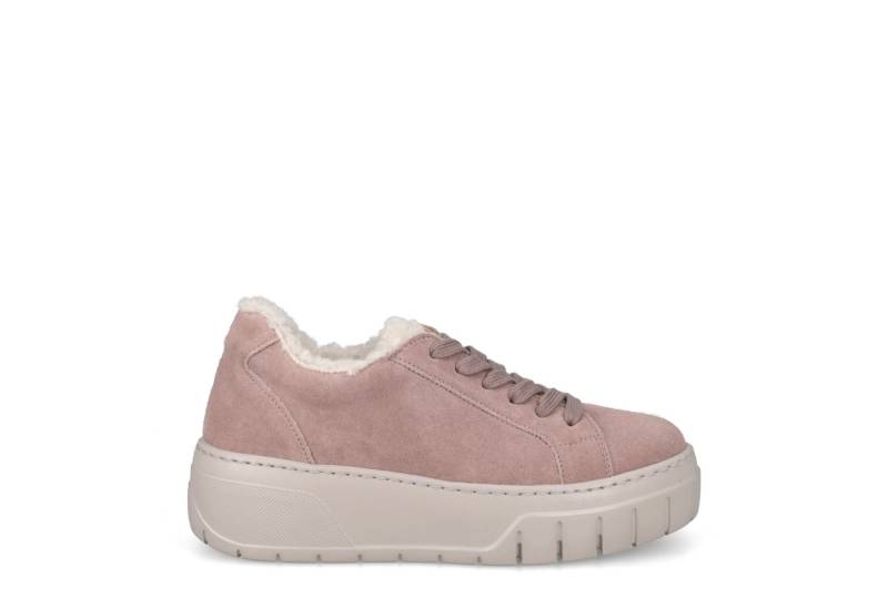 Gabor Gabor 3.221.10_7, Sneaker, Rose, Damen Sneaker von Gabor