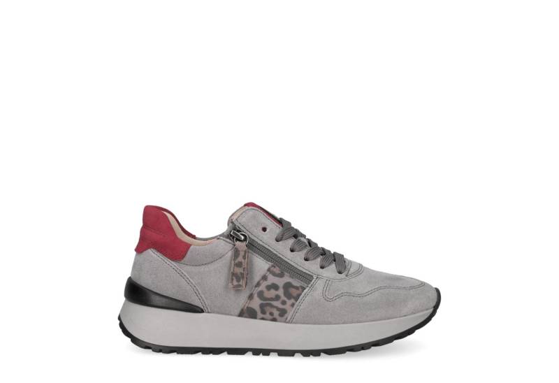 Gabor Gabor 3.494.19_7, Sneaker, Grau mit Leo-Look, Damen Sneaker von Gabor