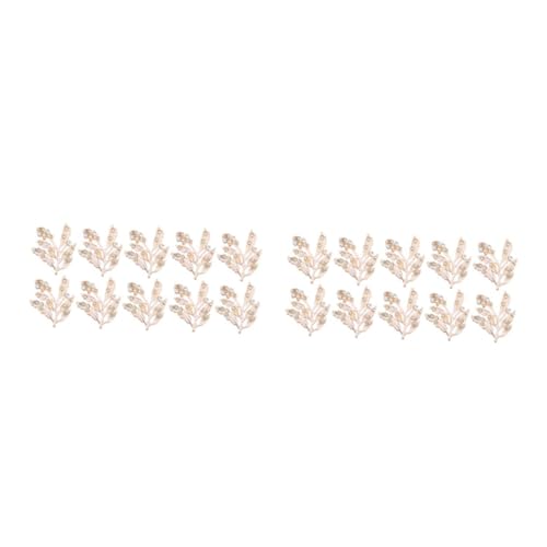 Gadpiparty 1 Satz Teiliges Haarschmuck Mit Akzenten Haaraccessoires Für Frauen Diy Haarklammern Für Besondere Anlässe Und Festliche Anlässe 10 Stück von Gadpiparty