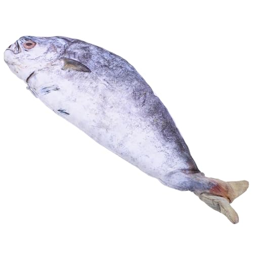 Gadpiparty Fisch Stiftetasche Federmäppchen Fischform Fischbeutel Formtasche Neuartige Geldbörse Niedliche Neuheit Reisegeldbörse Federmäppchen Fisch Telefonetui von Gadpiparty