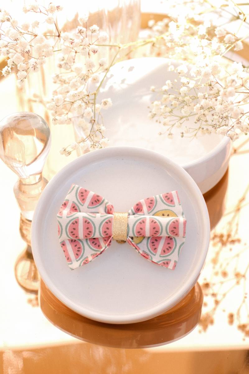 Clips Knoten Bedruckt Wassermelone Und Goldene Mitte von GaelleHayme