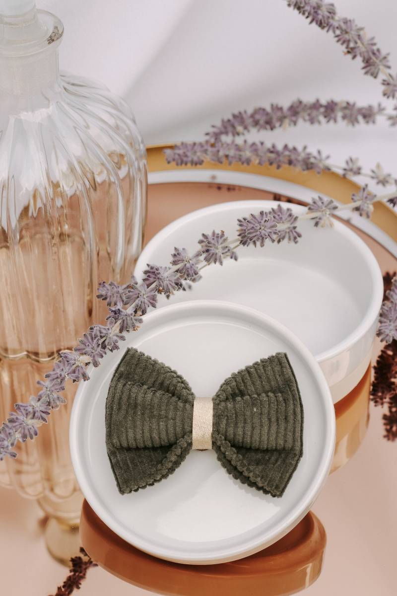 Clipser Cord Kaki Und Gold von GaelleHayme