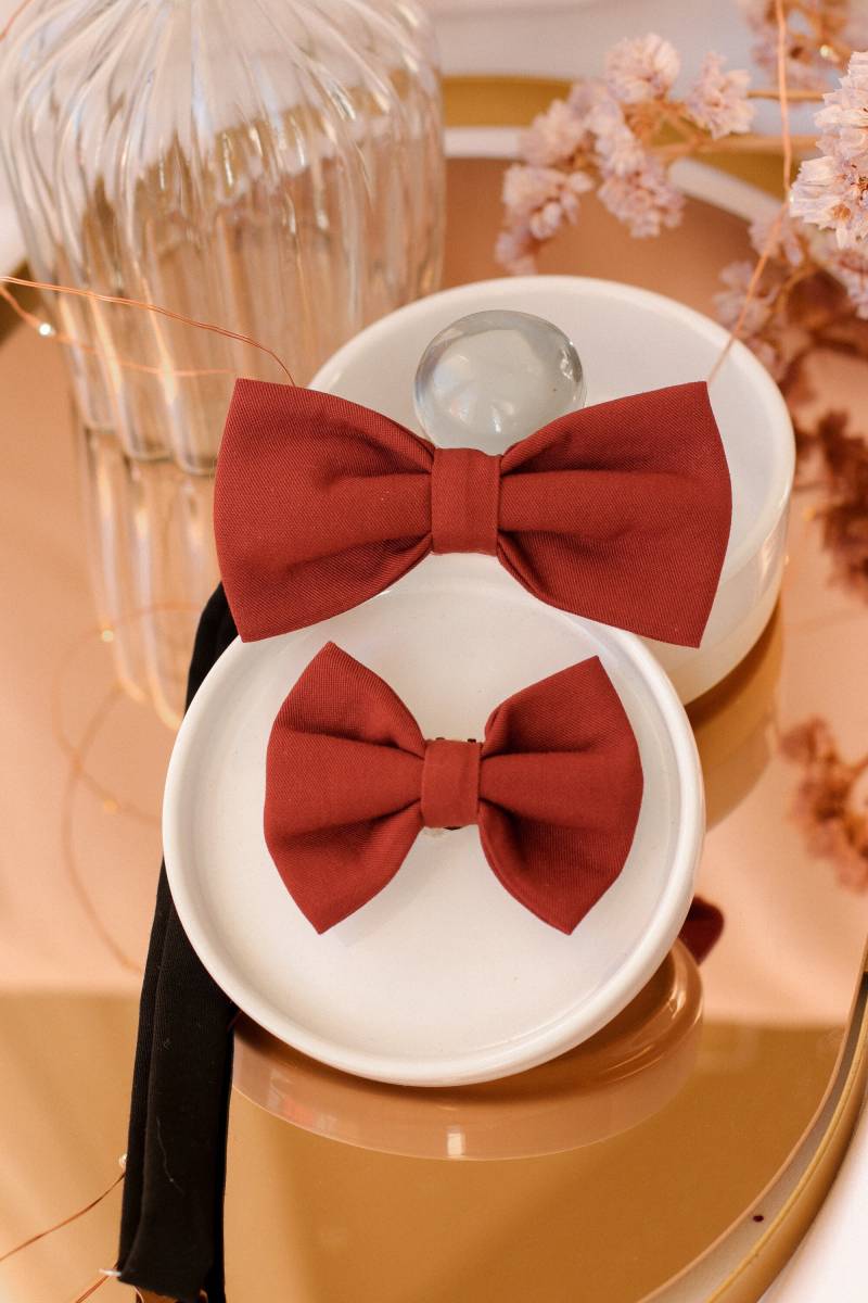 Duo Mann/Frau Braun Eichhörnchen von GaelleHayme