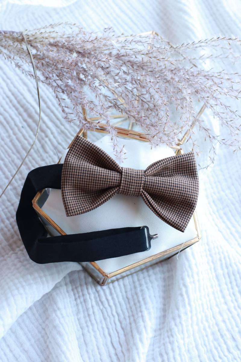 Fliege Schwarz Und Braun Huhn Fuß von GaelleHayme