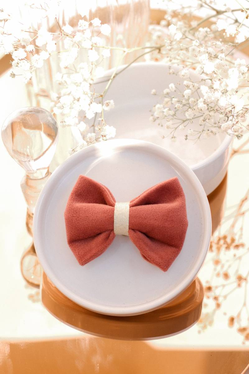 Rosa Samt-Clip-On-Knoten Und Goldene Mitte von GaelleHayme