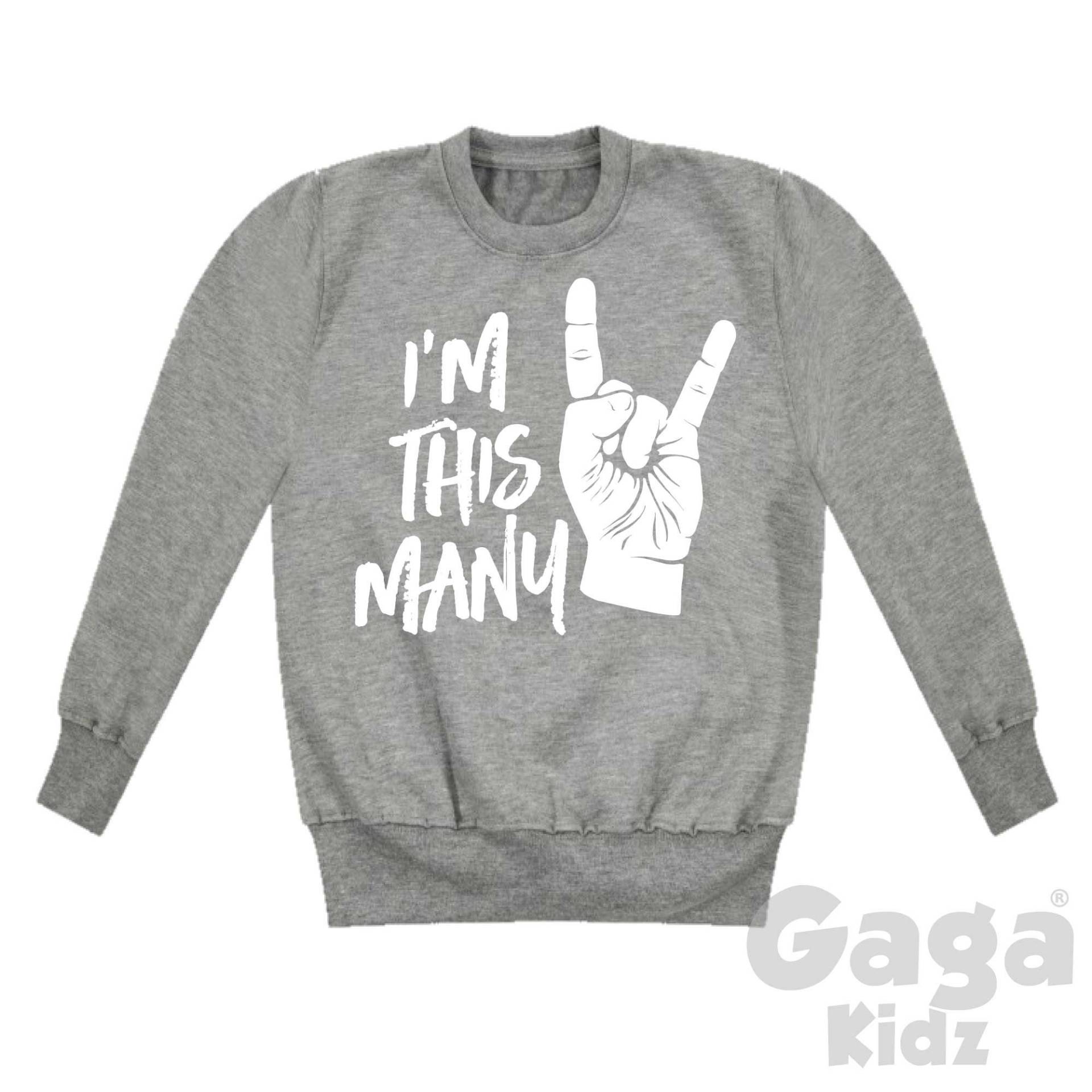I'm This Many, 2 Kinder Pullover, 2. Geburtstagsoutfit, Geschenk Für 2-Jährige, Kleinkind Sweatshirt von GagaKidz