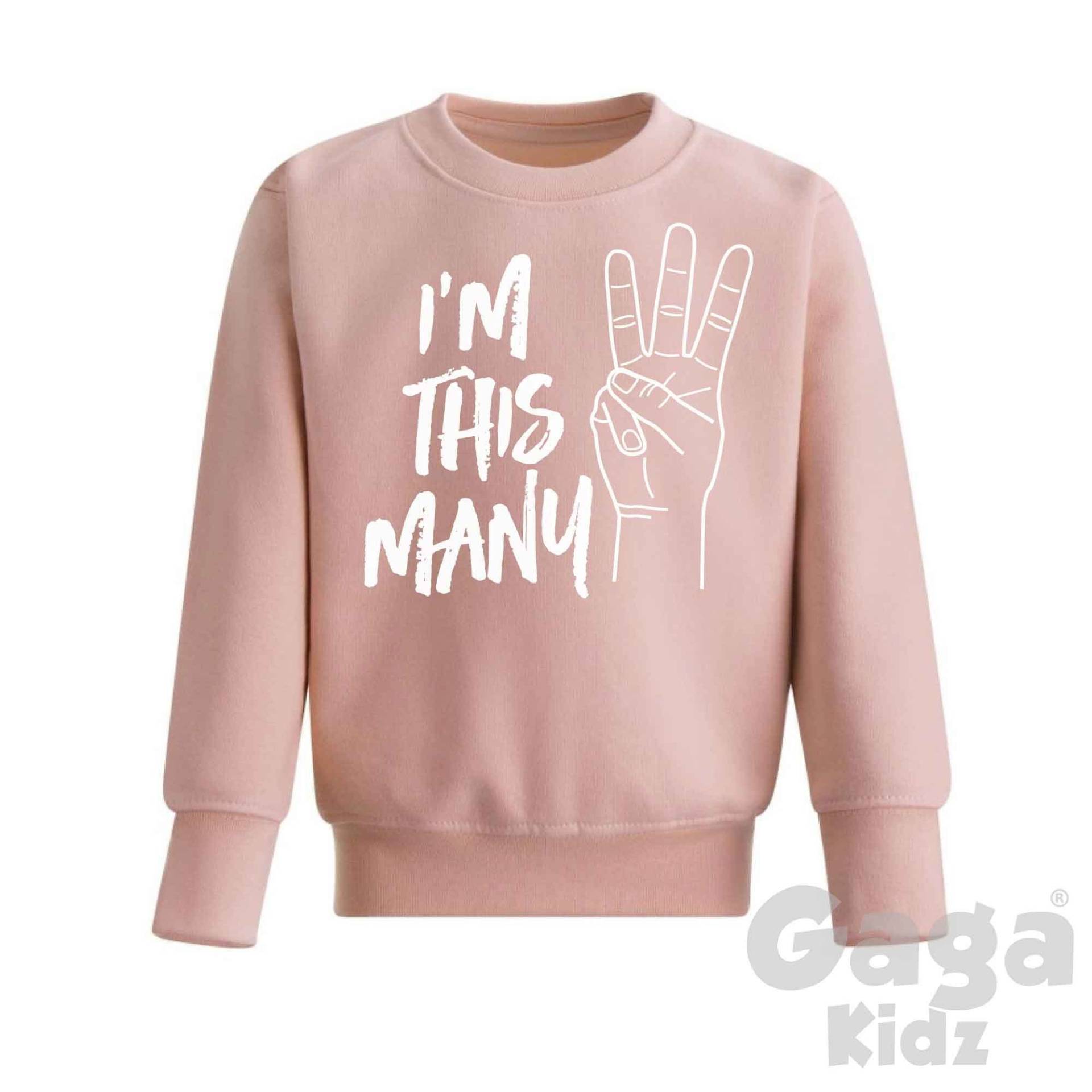 Ich Bin 3 Kinder Pullover, Drittes Geburtstagsgeschenk, Outfit Für Jahre Alt, Kleinkind Sweatshirt von GagaKidz