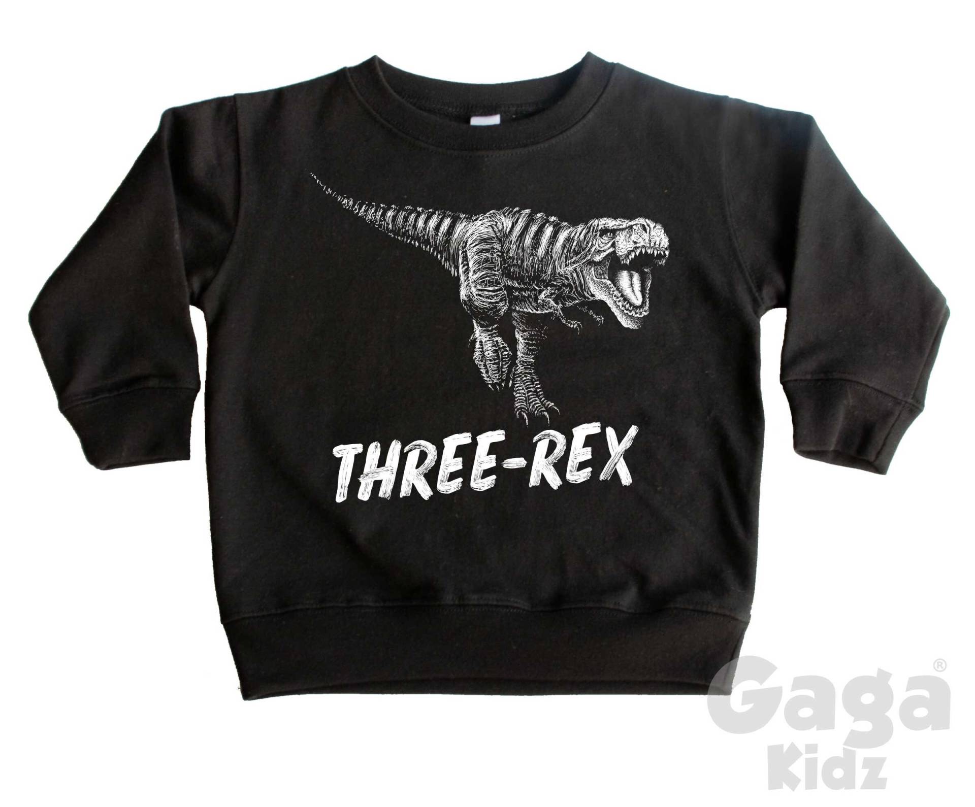 Drei-Rex Kinder Sweatshirt, 3. Geburtstag Party Outfit, T-Rex Pullover von GagaKidz