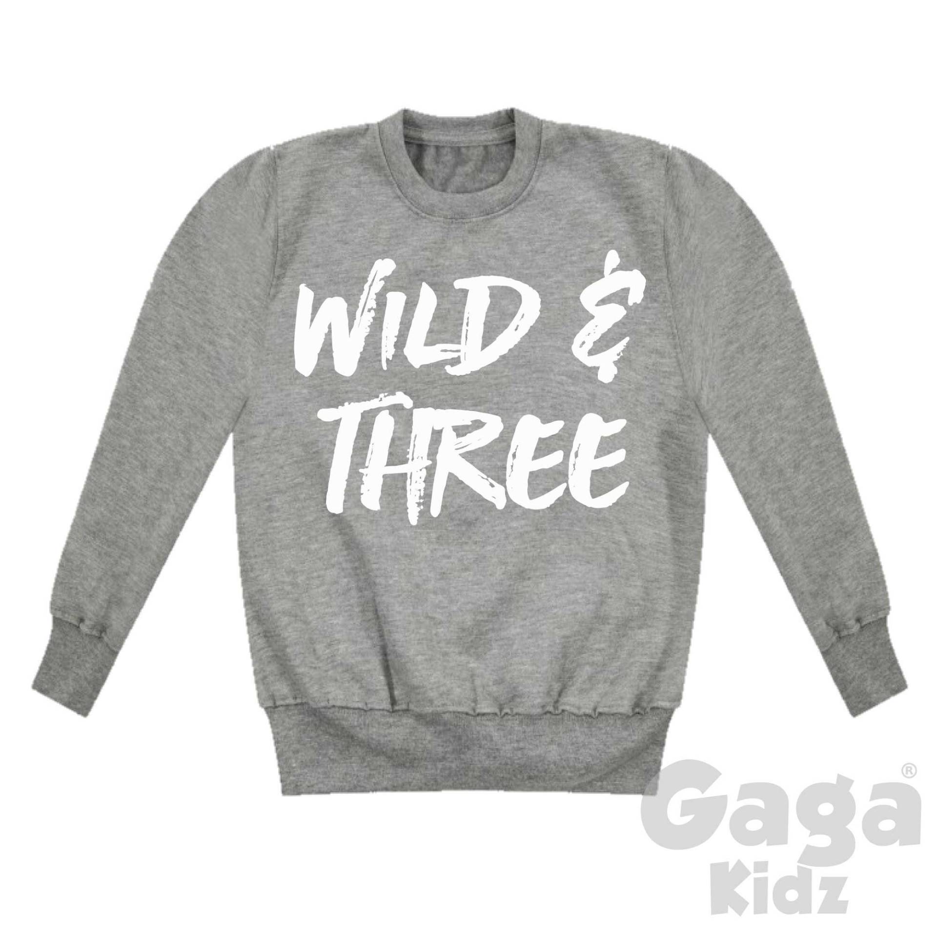 Wild & Three Kids Sweatshirt, 3Er Geburtstag Party Outfit Geschenk von GagaKidz