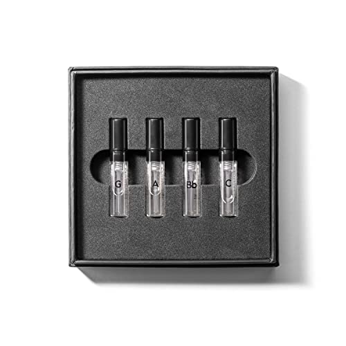 GAMMON Black Notes Explorer-Set (4x2 ml), Parfum Set Mit Allen 4 Black Notes Männer Düften, Für Herren Mit 20% Parfum-Öl, Bequem Den Lieblingsduft Finden von Gammon