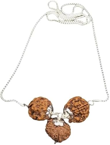 Ganesha Arts Rudraksha Kombination für Hanuman Power 4,5,11 Mukhi Nepal in Silber Anhänger befestigt in reiner Silberkette (klein), 0, Holz, ohne Edelstein von Ganesha Arts