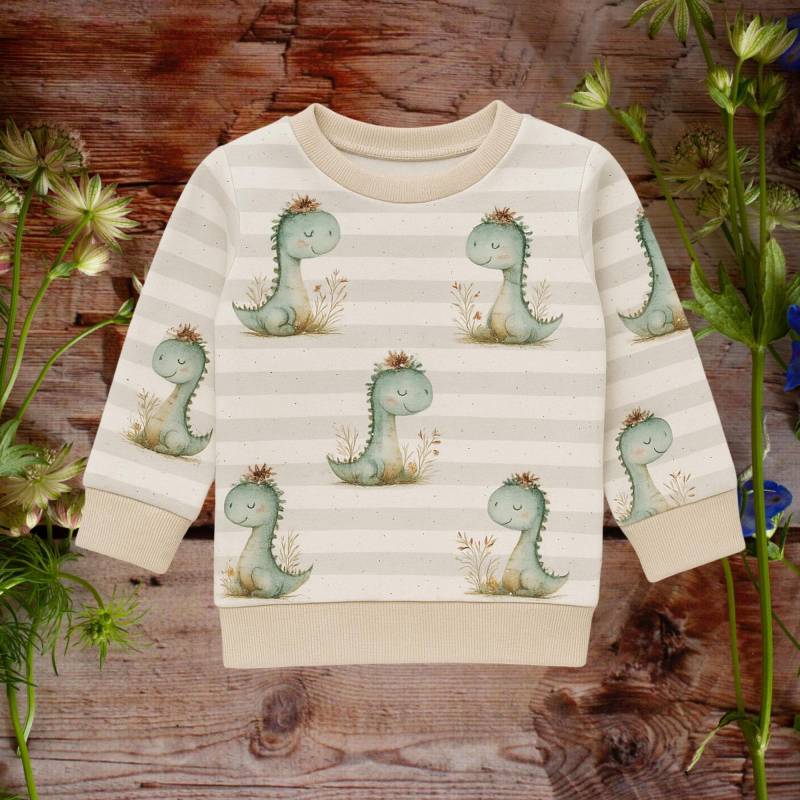 Babypullover Dinomädchen Handmade Sweatshirt Dino Baby Shirt Geschenk Zur Geburt Kleidung Mädchen von GanskleinbyDenise