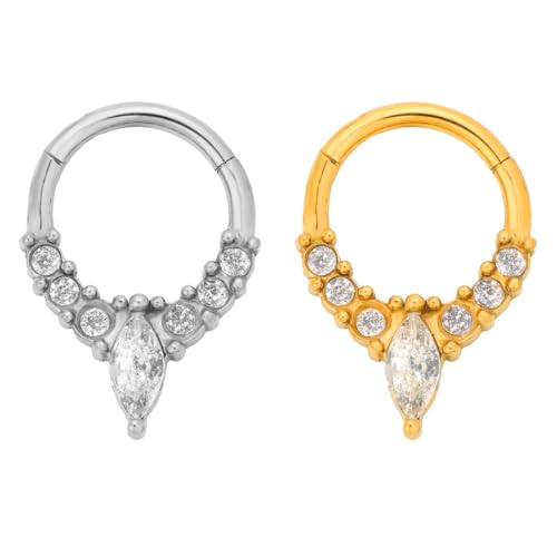 Gaodercha 2pcs Septum Nase Ringe Hoop 2 Farben 316L Chirurgenstahl Scharnier Nase Ringe Hoops Cluster CZ Scharnier Segment Clicker Daith Clicker Ohr Piercing für Frauen Männer Schmuck Geschenke von Gaodercha
