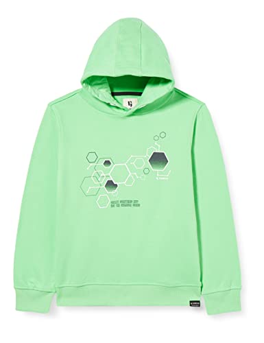 Garcia Kids Jungen Sweater Sweatshirt, Green Lizzard, 140/146 von Garcia Kids