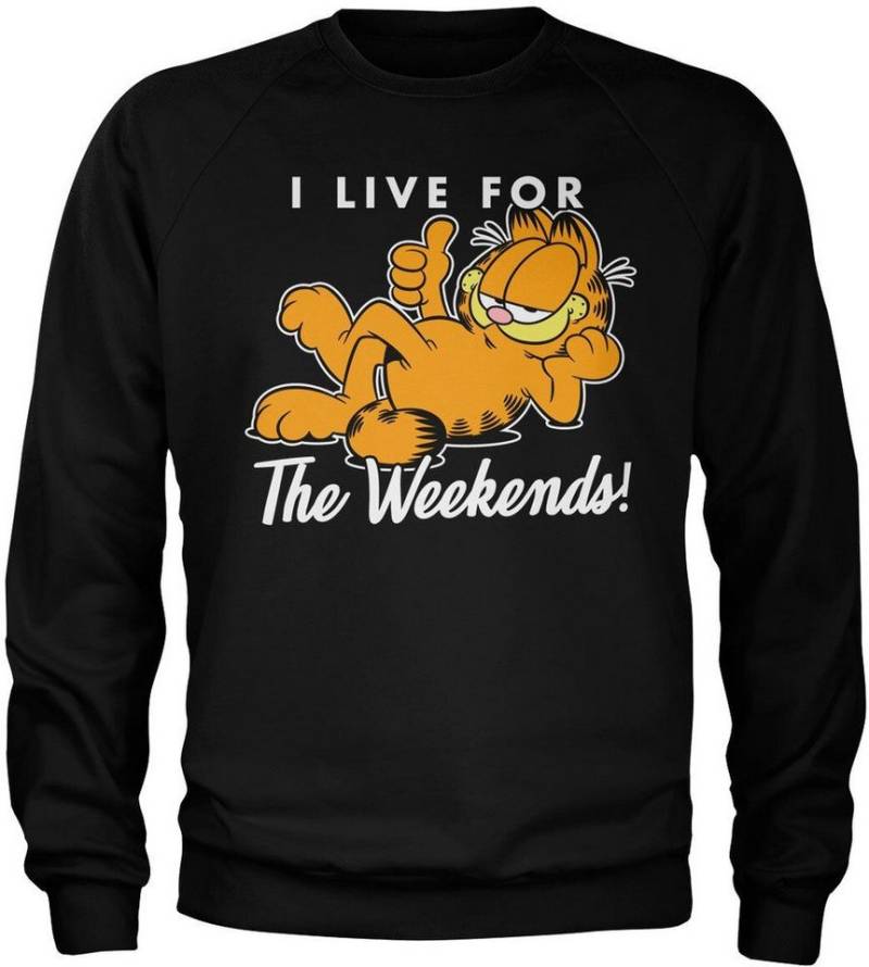 Garfield Rundhalspullover von Garfield