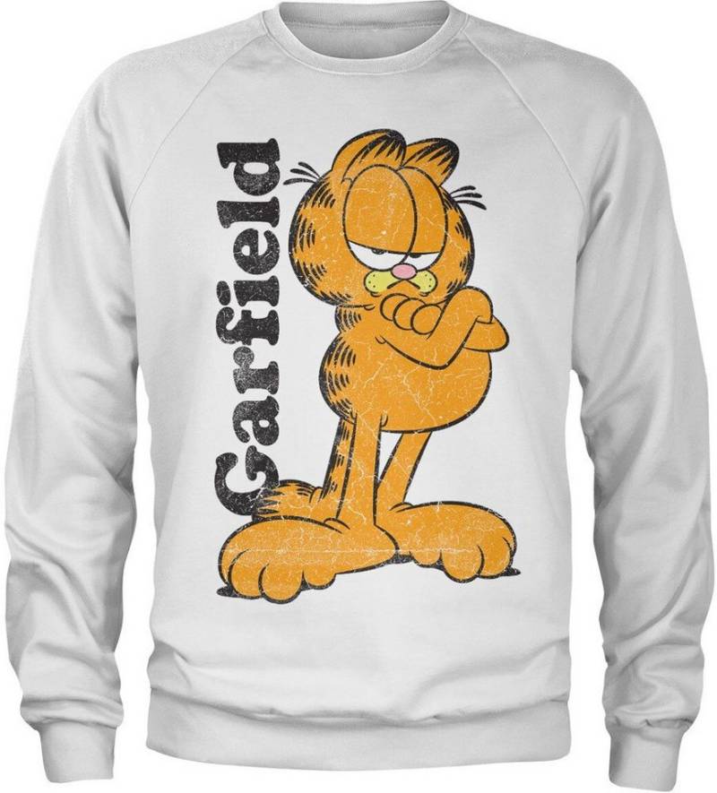 Garfield Rundhalspullover von Garfield