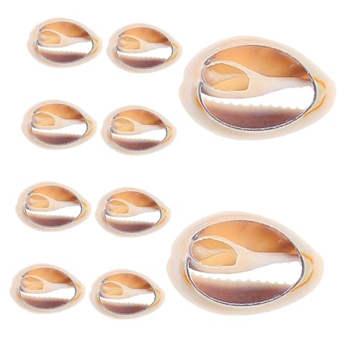 Garneck 10 Stück Phnom Penh Slices Schicke Muschelanhänger Halskette Machen Vorräte Ohrringe Zubehör Selber Machen Muschelanhänger Selber Machen Winzige Muscheln Muscheldekor Beige Hülse Garneck 10 Stück Phnom Penh Slices Schicke Muschelanhänger Halskette Machen Vorräte Ohrringe Zubehör Selber Machen Muschelanhänger Selber Machen Winzige Muscheln Muscheldekor Beige Hülse von Garneck