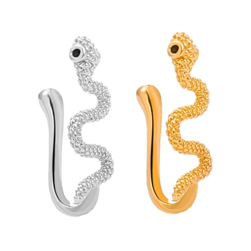 Garneck 2 Stück Damen Fake Nasenringe Kupfer Clip Nasenring Nicht Piercing Leicht Komfortabel Modischer Schmuck für Ungepiercte Haut von Garneck