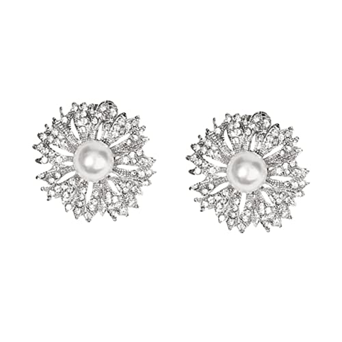 Garneck 2 Stück Schuhclips Abnehmbare Schuhschnallen Strass Hochzeit Party Damenschuh Schmuck Langlebig und Komfortabel Silberfarben von Garneck