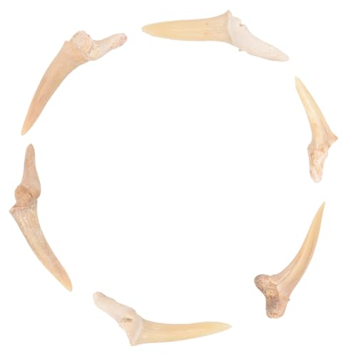 Garneck 6 Stück Teiliges Haifischzahn Anhänger Halsketten für Jungen und Mädchen Handgefertigte Echte Fossile Haifischzähne Tribal Style Langlebiger Modeschmuck Geschenkidee von Garneck