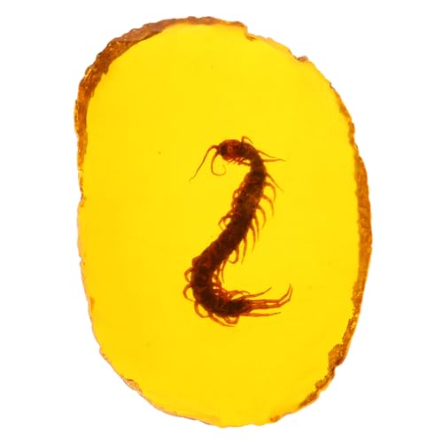 Garneck Künstlicher Bernstein Anhänger mit Insektenmotiv Handgefertigter Schmuckanhänger aus Wachs und Kunststoff Einzigartiges Gliederfüßer Design Warme Goldene Farbgebung Vielseitiger von Garneck