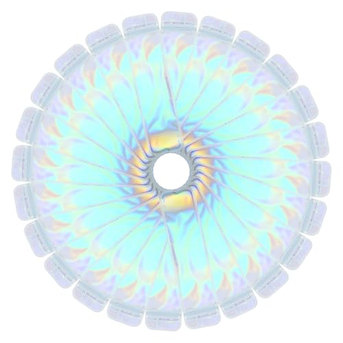 Gatuida 100 Stück Teiliges Selbstklebende Langgestreckte Verpackungsbeutel Transparent und Widerstandsfähig für Schmuck und Stiftlagerung Sichere Aufbewahrung ohne Zusätzliches Siegel von Gatuida