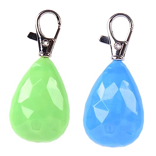 Gatuida 2 Stück Hundehalsband Licht Wiederaufladbares LED Sicherheitslicht für Hunde Wasserdichtes Nachtlicht Pendant für Haustiere Blau und Grün für Nächtliche von Gatuida