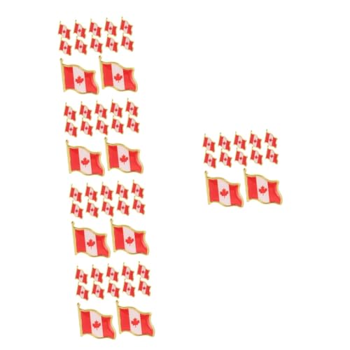 Gatuida 5 Sätze Flagge Brosche Dekorative Anstecknadel Für Männer Und Frauen Vielseitige Abzeichen Für Kleidung Für Und Anlässe 25 Stück * 5 von Gatuida