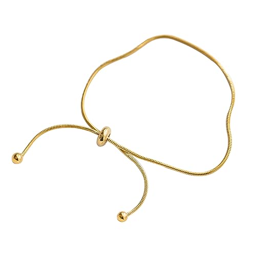 Gatuida Fußkette Damen Verstellbar Push Pull Design Schlangenkette Fußschmuck Sommer Schmuck für Frauen von Gatuida