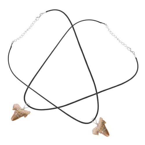 Gatuida Halskette mit Haifischzahn Anhänger für Männer Fossiler Haifischzahn Handgefertigt mit Lederband für Outdoor Aktivitäten Einzigartiges von Gatuida