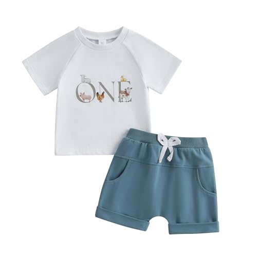 Geagodelia Baby Jungen 1. Geburtstag Kleidung Sommer Kurz Babykleidung Outfit Set T-Shirt Top + Shorts Neugeborene Weiche Babyset 1 Jahr Zweiteiler (Weiß & Blau 08, 12-18 Monate) von Geagodelia