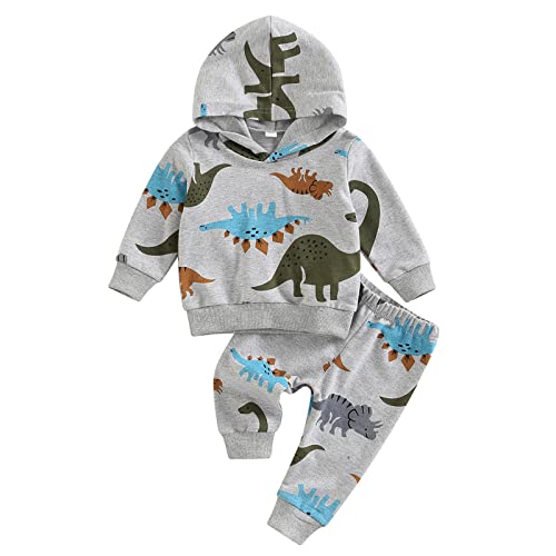 Geagodelia Baby Jungen Kleidung Outfit Dinosaurier Babykleidung Set Langarm Kapuzenpullover Top + Hose Neugeborene Weiche Babyset NT-292 (Grau, 12-18 Monate) von Geagodelia