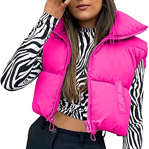 Geagodelia Damen Weste Kurz Puffer Ärmellose Steppweste Daunenweste Elegant Leichte Jacke Steppjacke Oberteile Outdoor Winter Herbst (Rosa mit Taschen, M) von Geagodelia